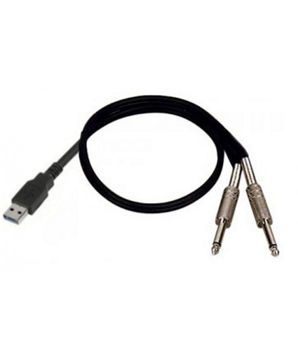 CONVERTIDOR USB A 2 x JACK 6.3mm ENTRADA  MONO 