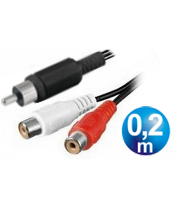 CONEXION AUDIO 1 RCA M A 2 RCA H CABLE 0.2m